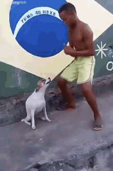 perro bailongo
