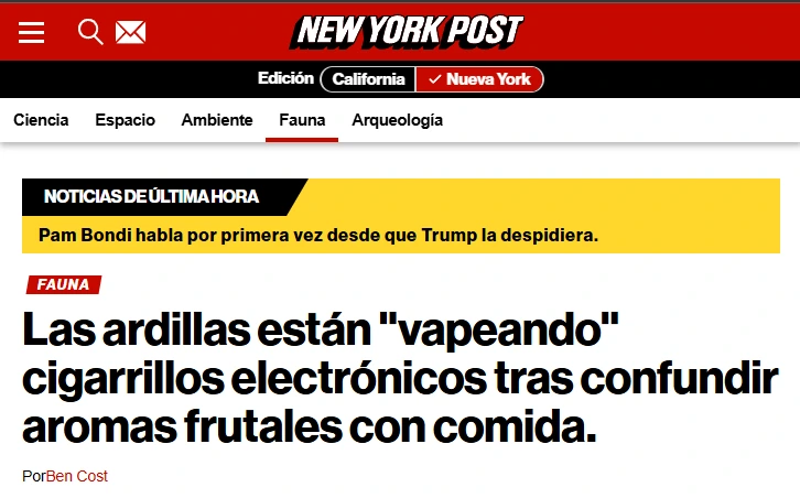 ardillas vapeando cigarrillos electronicos
