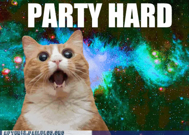 gato fiesta espacial